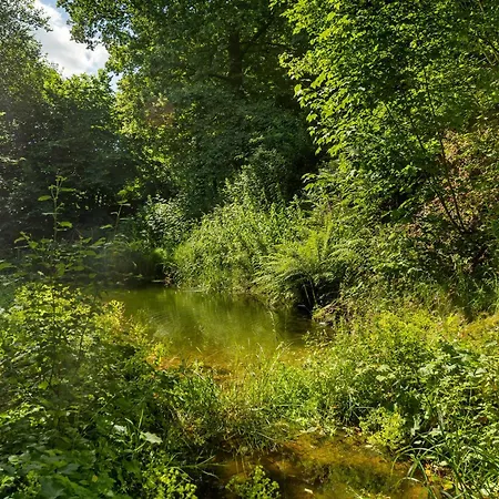 Demberg Apartmán Schmallenberg