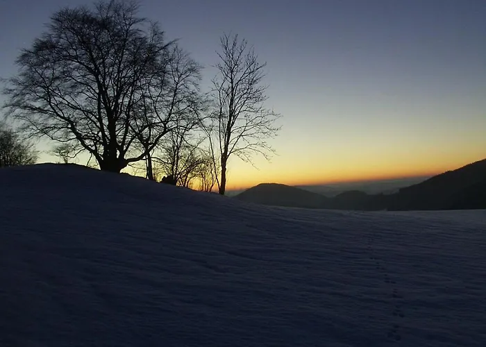 Demberg アパート