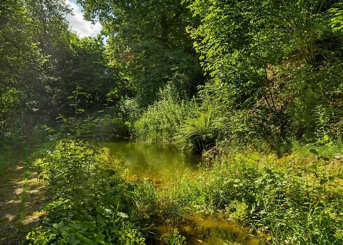 Demberg Lägenhet Schmallenberg